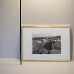 Shepherd's Vila Stara Baška